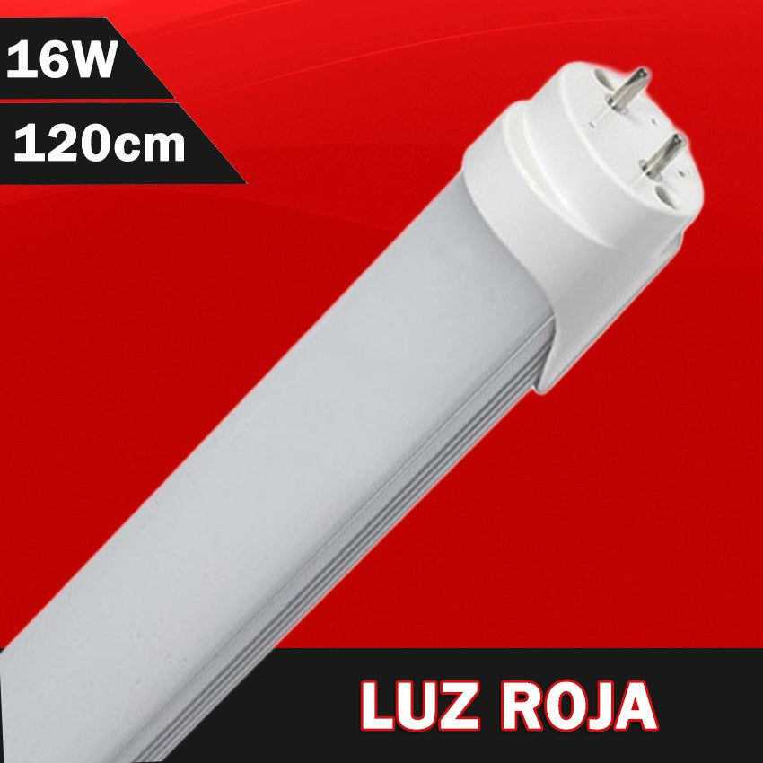 Comprar Tubo led 12v 24v 60cm 10w T8, 120cm alta luminosidad